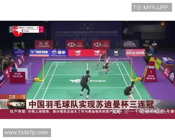 南京羽毛球队在杯赛中的灵活性表现及其战术分析 南京羽毛球队在杯赛中的灵活性表现及其战术分析