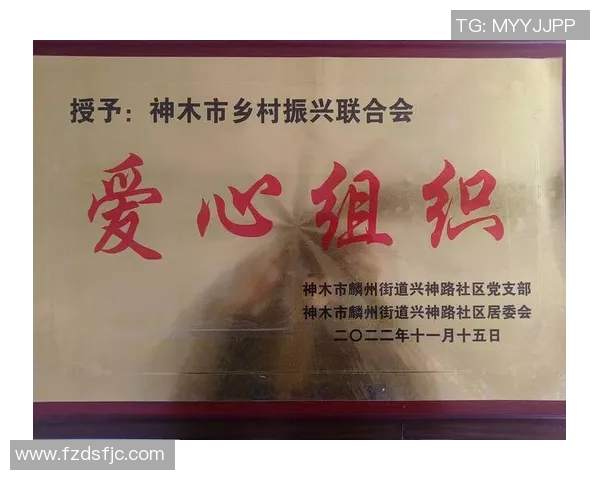 成都排球队的奋进之路：从默默无闻到世界杯舞台的辉煌历程